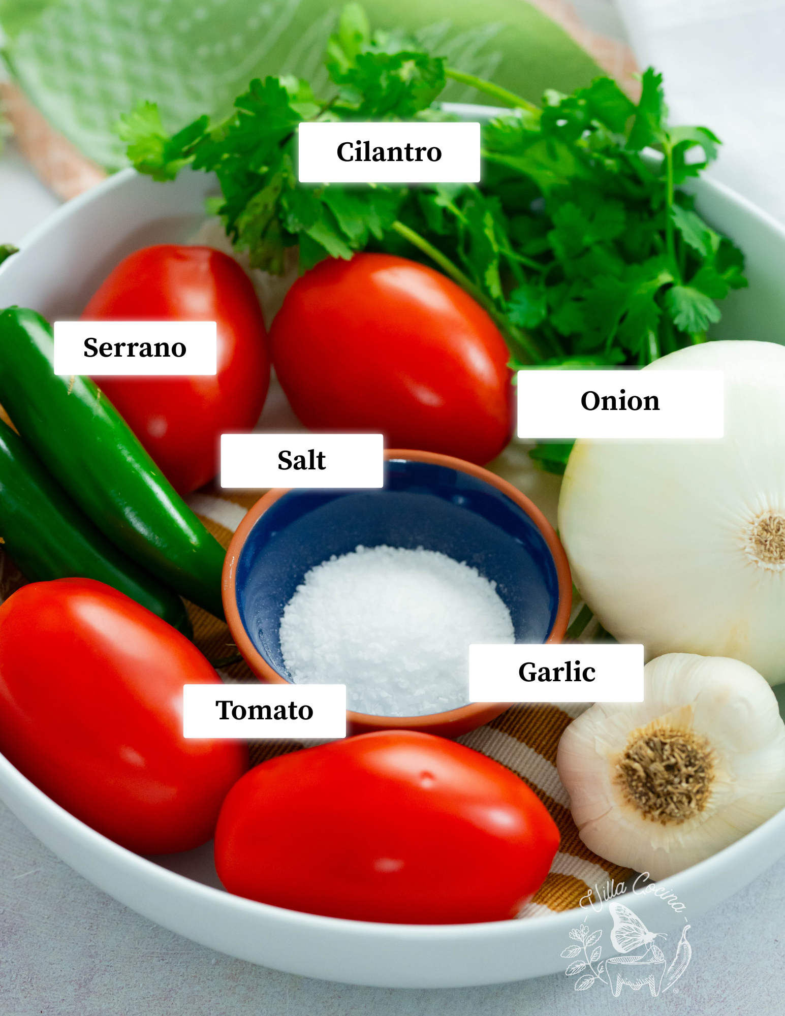 Mexican Salsa Ingredients Villa Cocina