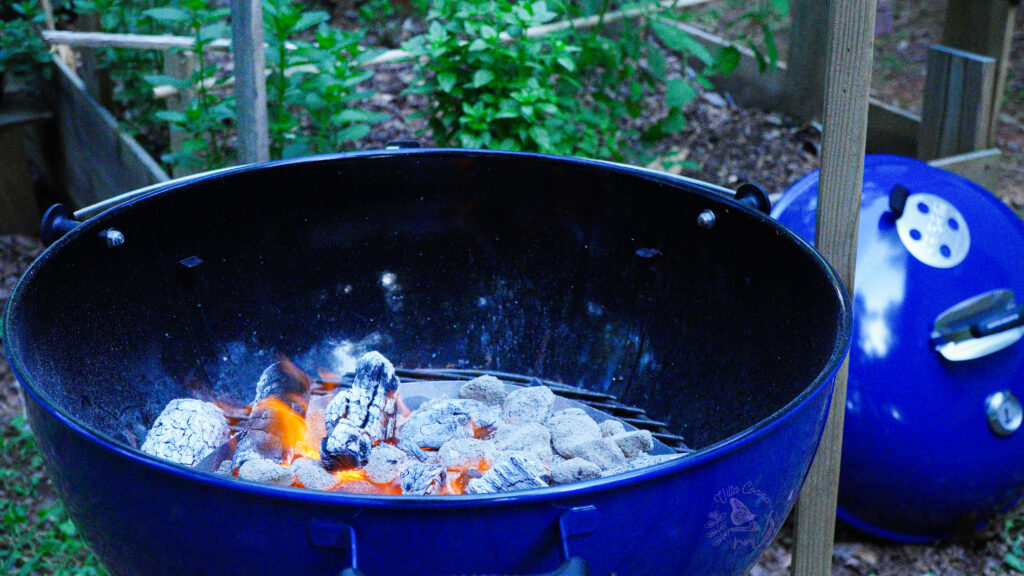 grill with charcoal