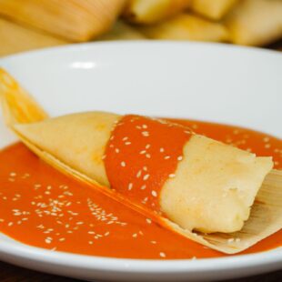 Plated Mole tamal