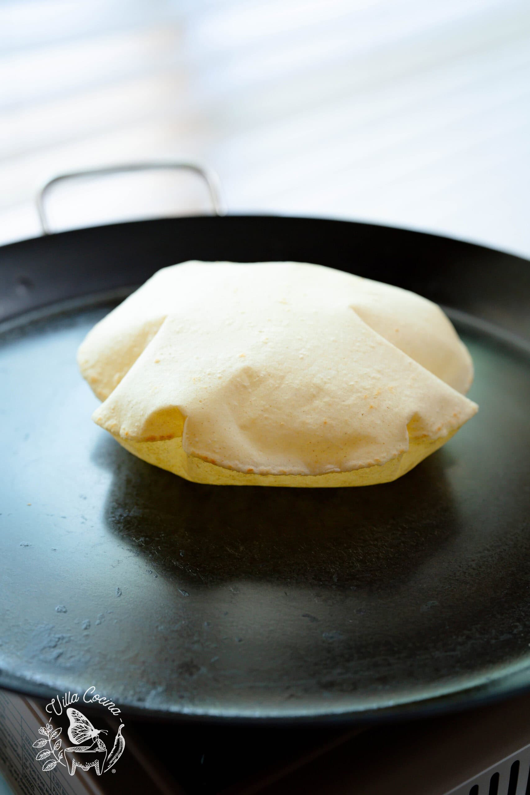 Corn tortillas
