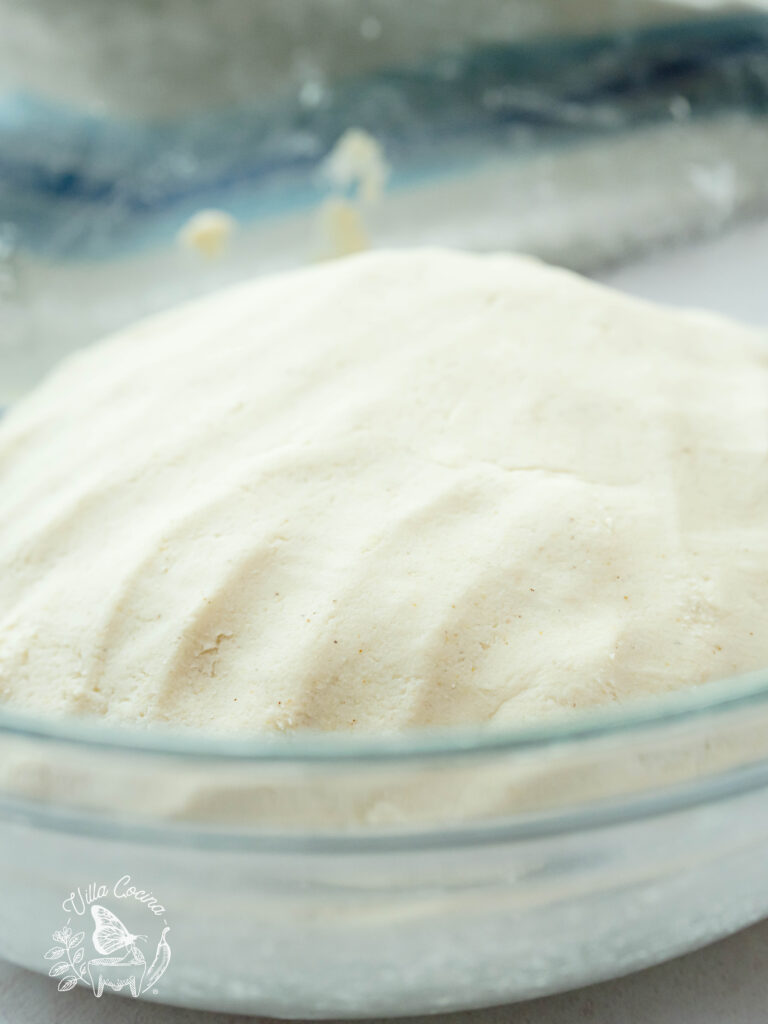 Kneaded corn masa harina ready to be made into tortillas