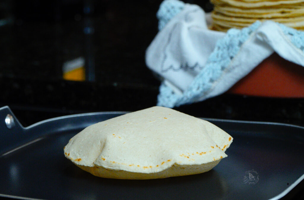 Corn tortillas being cooked