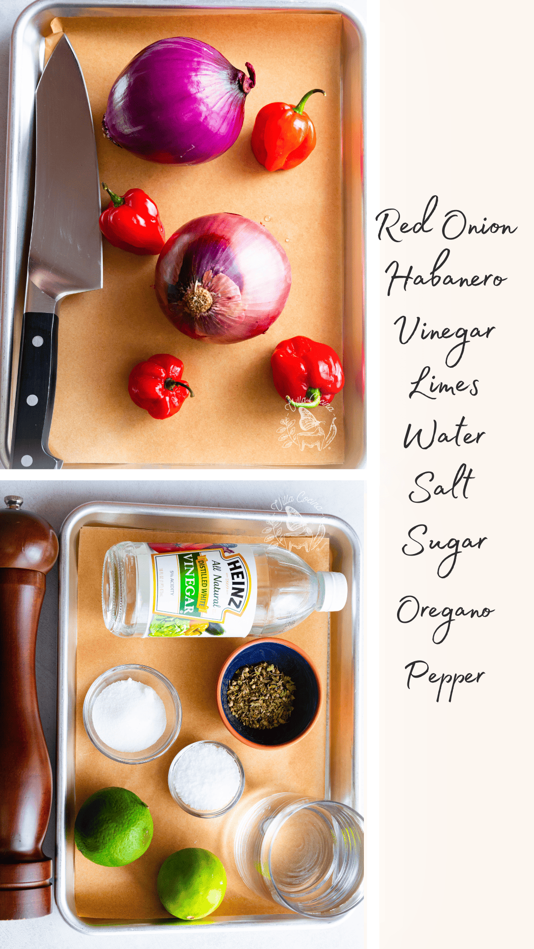 Pickled Red Onion Ingredients 