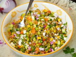 Lentil salad