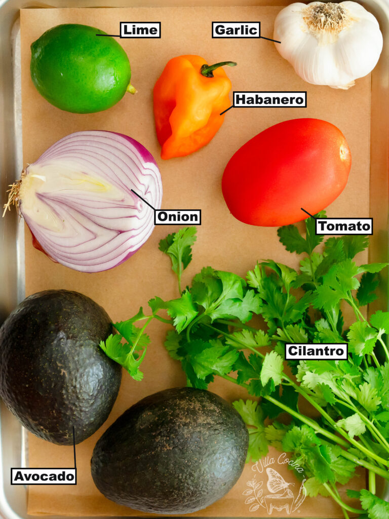 Ingredients for guacamole