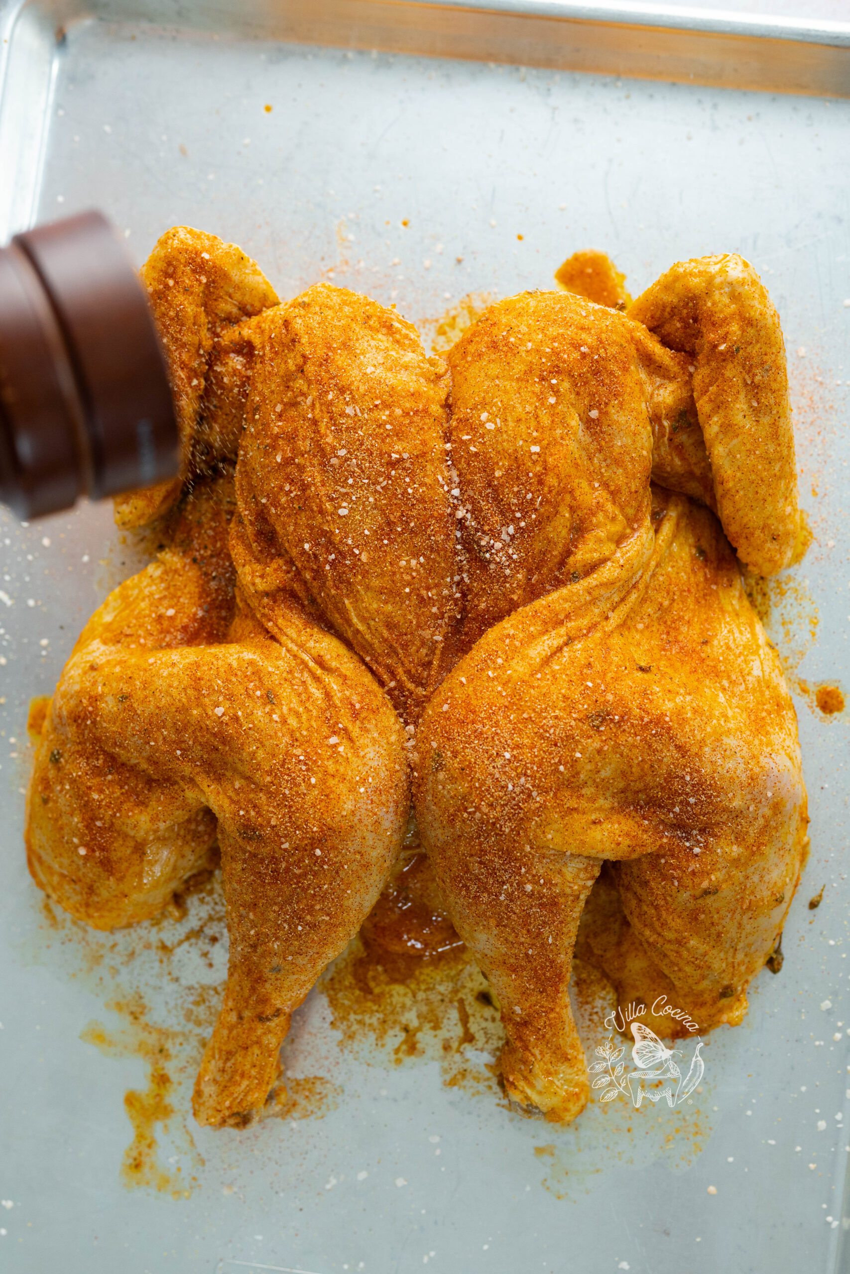 Seasoned Chicken 