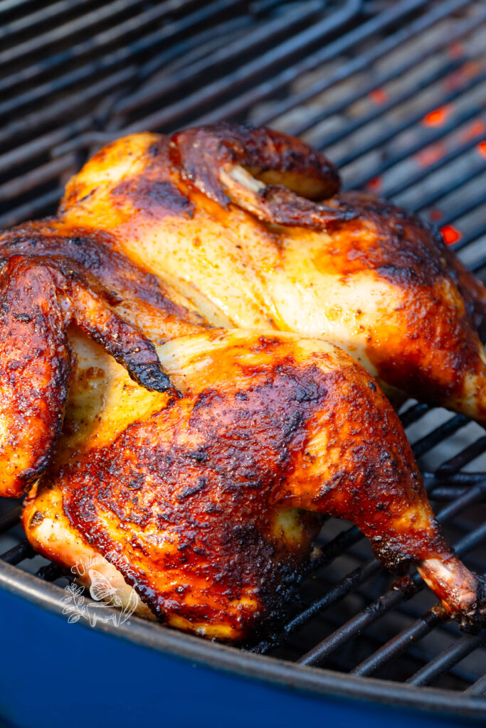 Grilled Pollo Loco