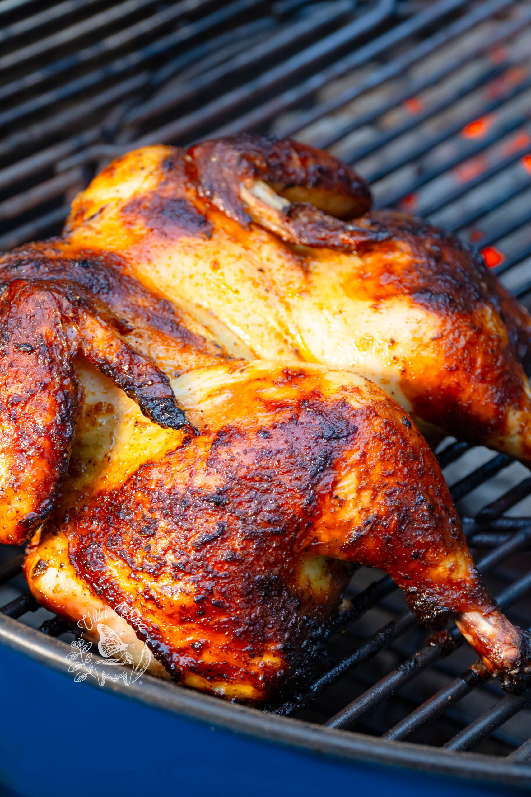 Grilled Pollo Loco