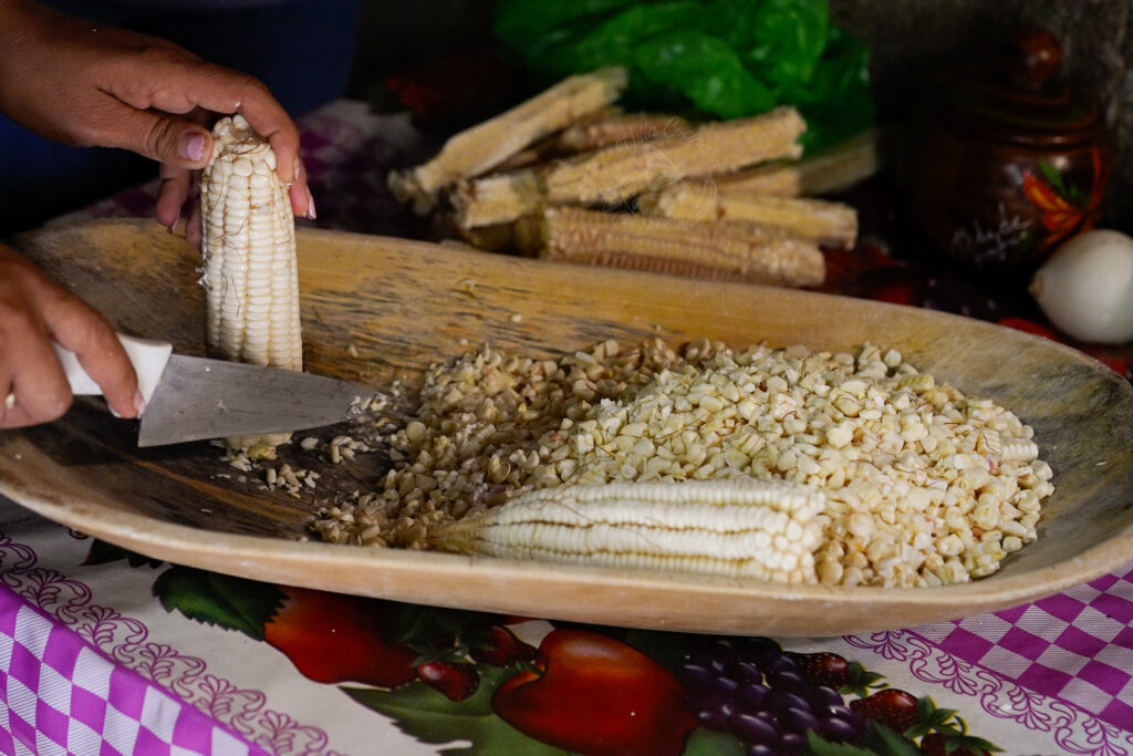 Corn kernels being removed from the cob.