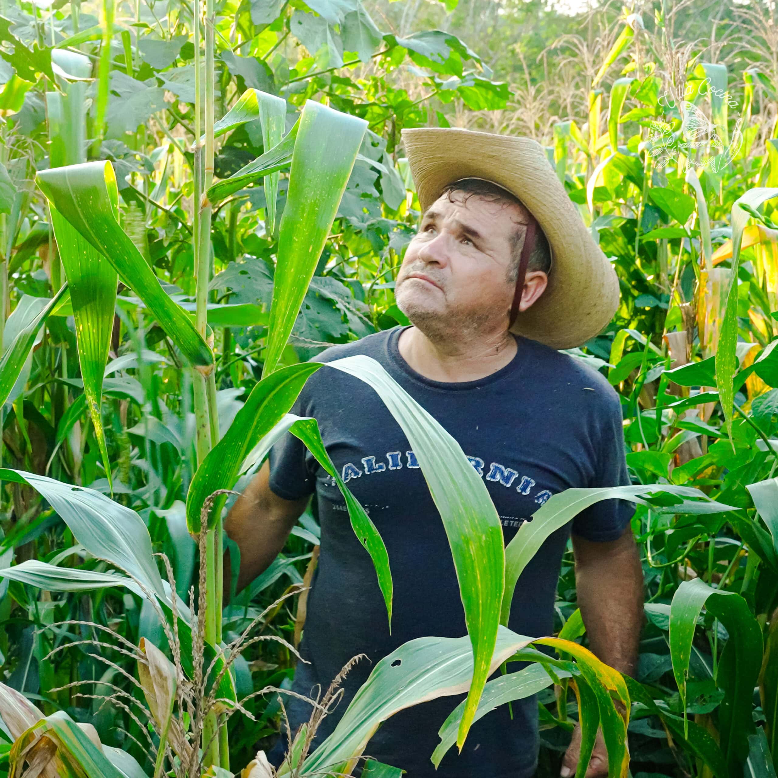 Mexican man in a traditional milpa