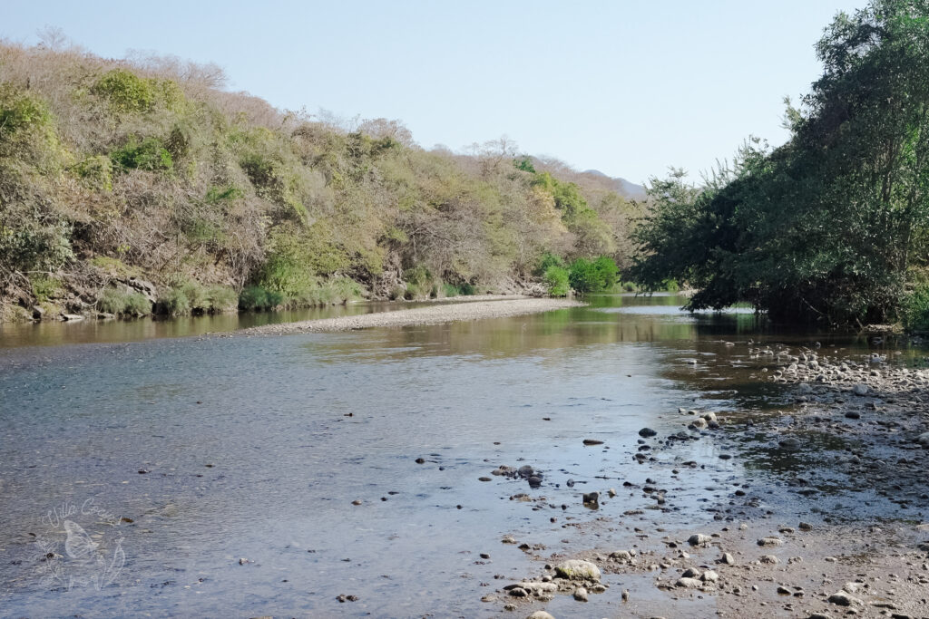 River of caracuaro