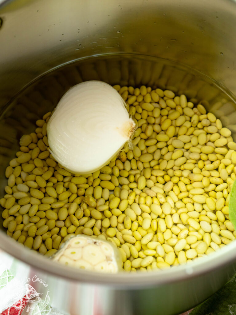 Beans in pot, ready to cook.