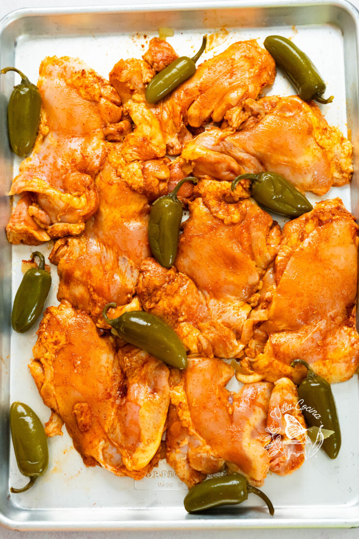 Seasoned Chicken