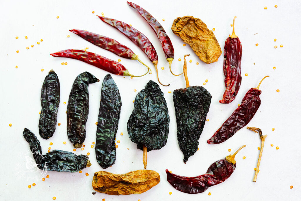 Mexican Dried Peppers Variety