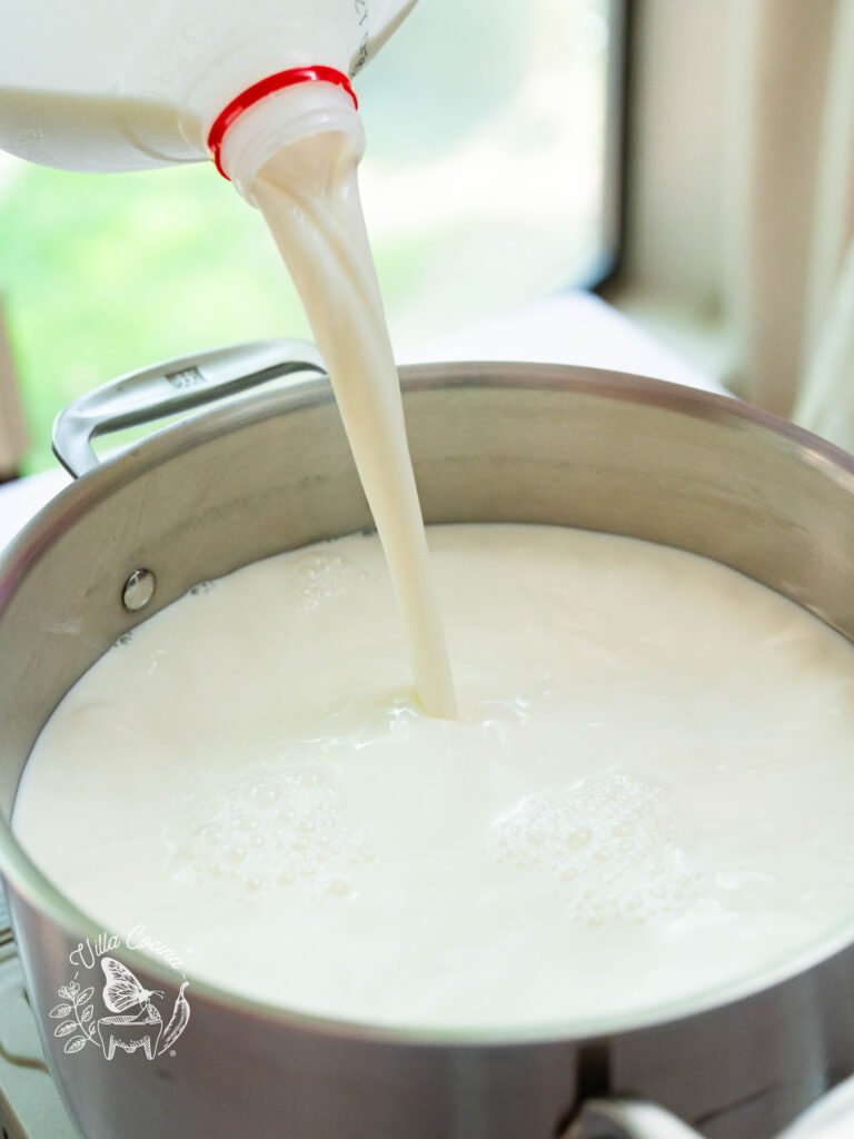 Queso fresco-milk