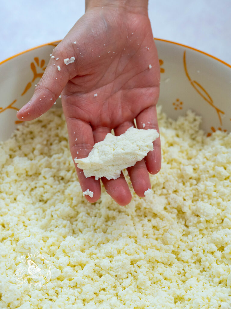 Knead the queso fresco 