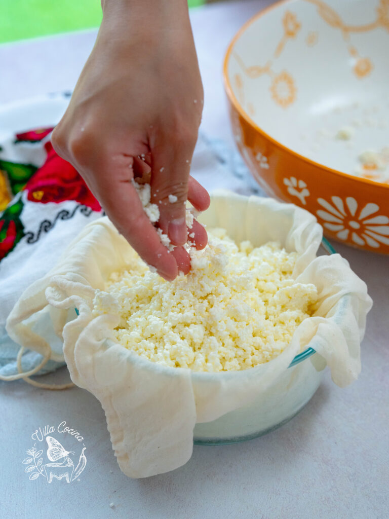 Mold Queso Fresco 