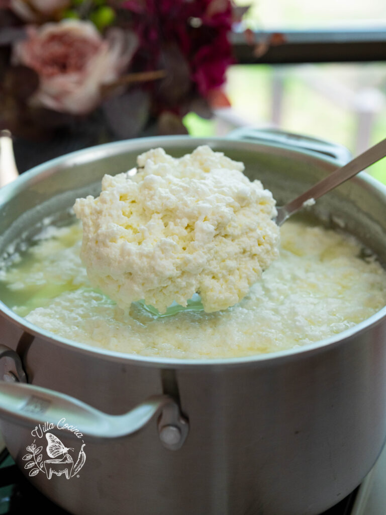 Queso Fresco - Curds 