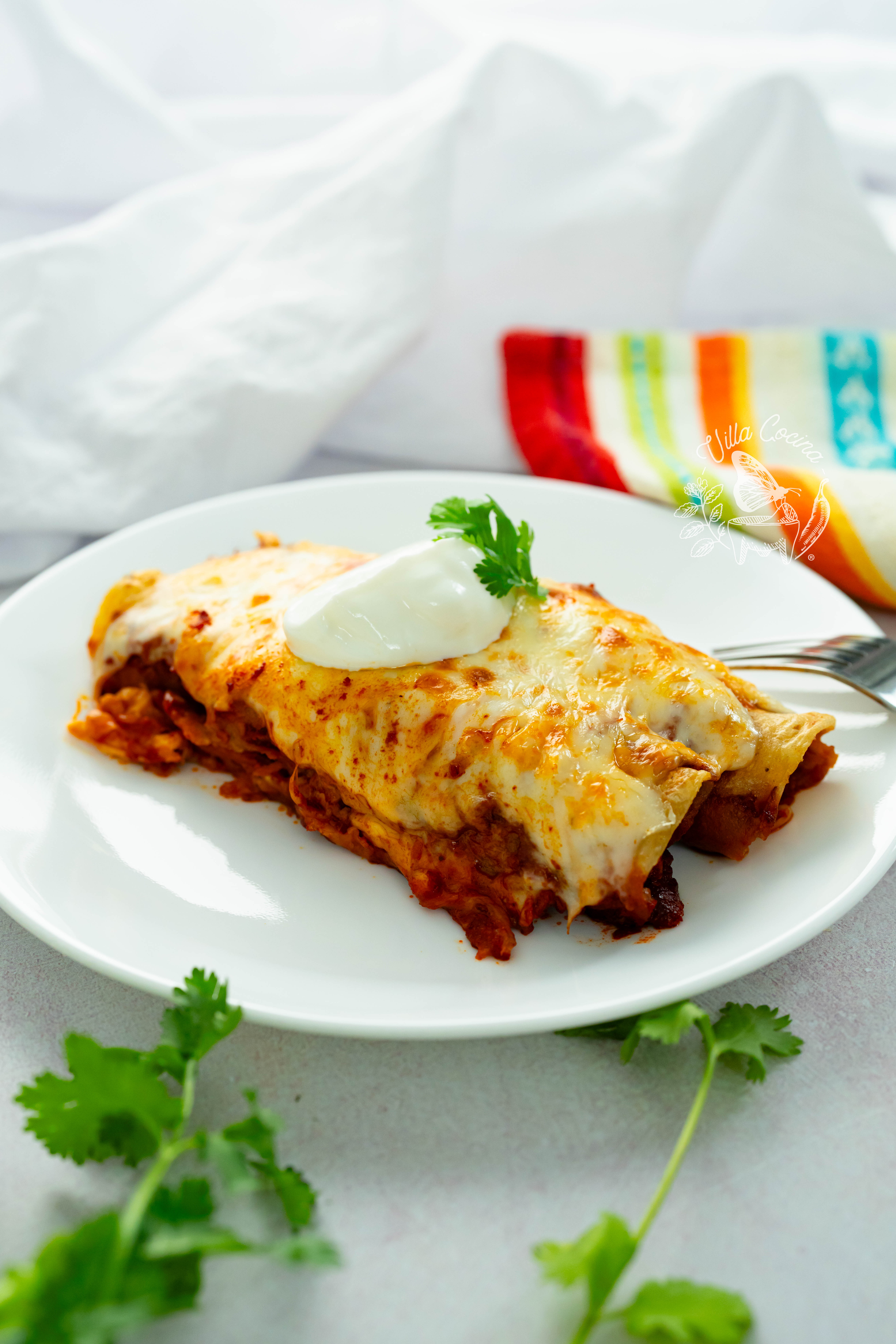 Chicken Enchiladas