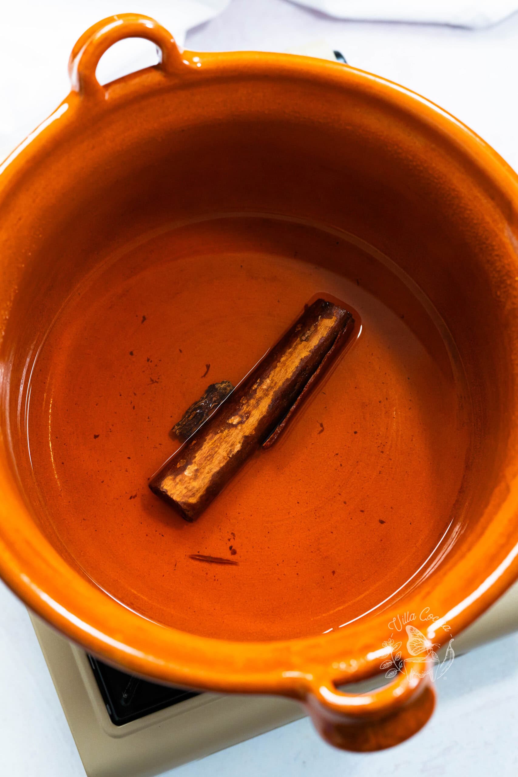 Cinnamon Infused Water