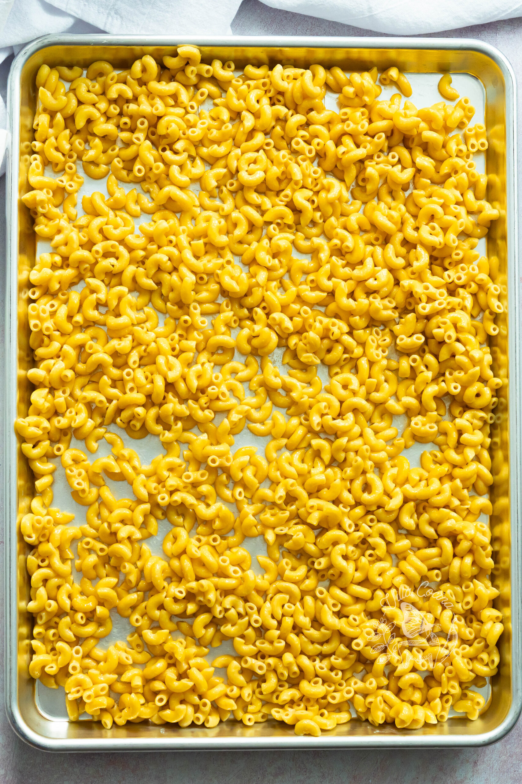 Cooled pasta