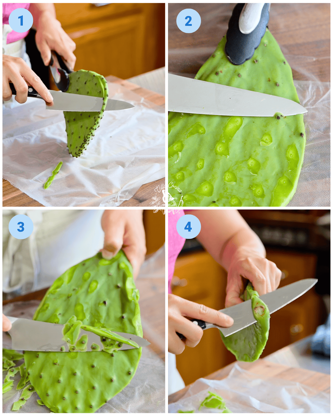 Cleaning Nopal Paddle