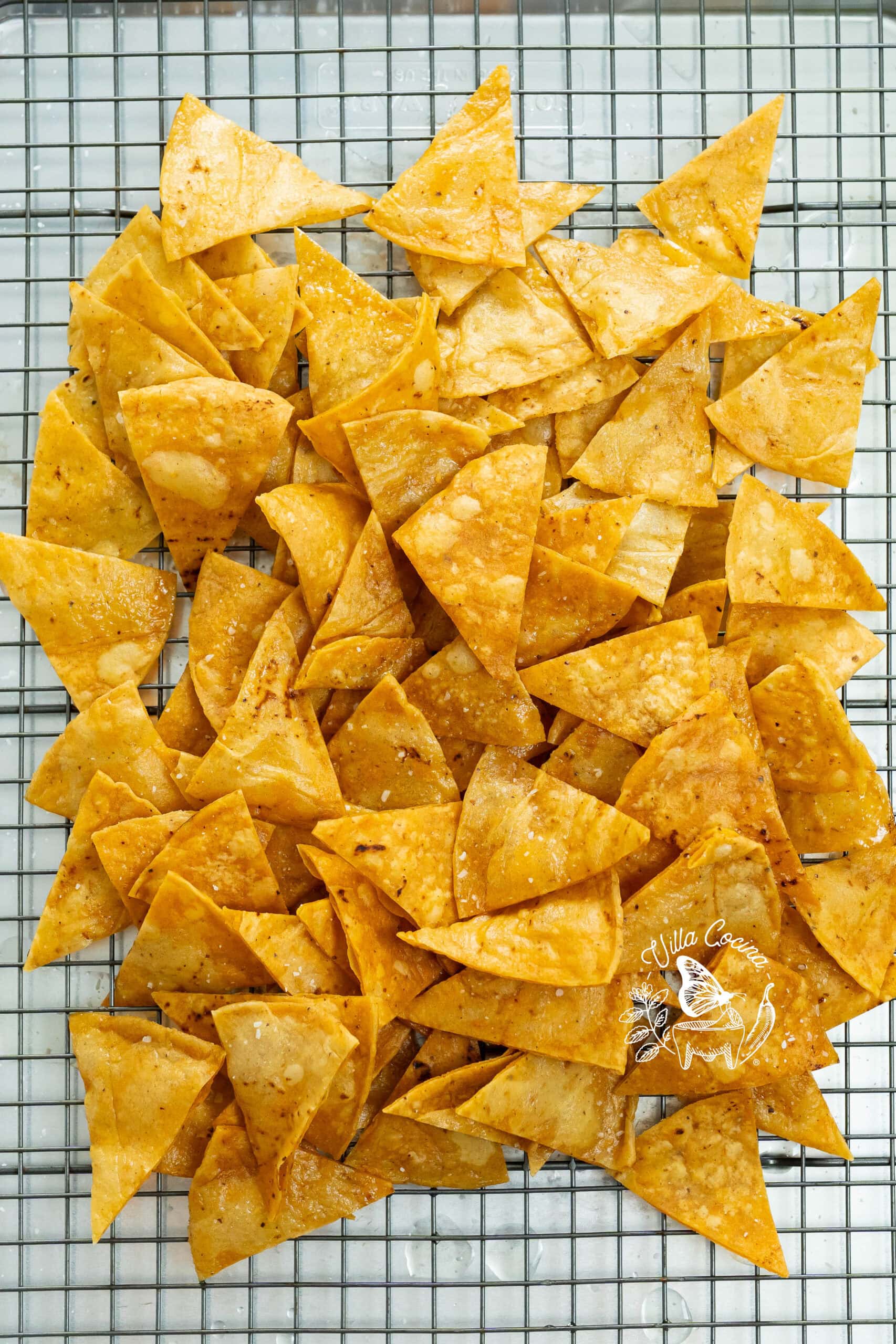 Crispy Corn Tortillas Chips