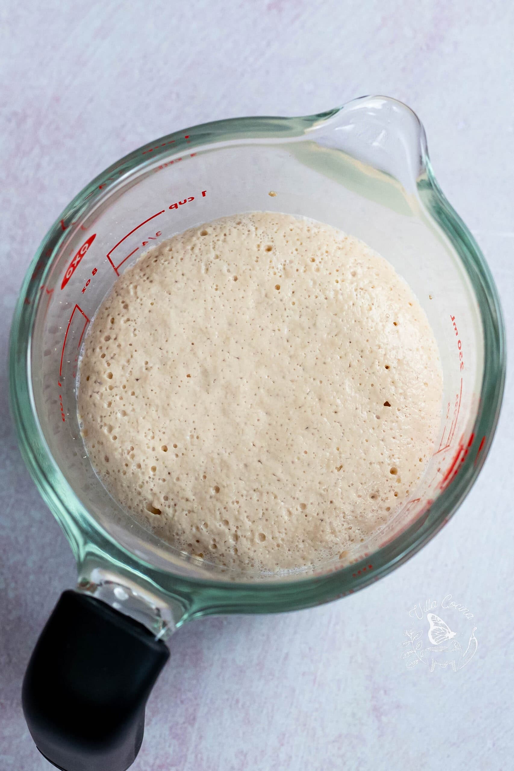 Overhead of activated yeast in warm milk in a measuring cup.