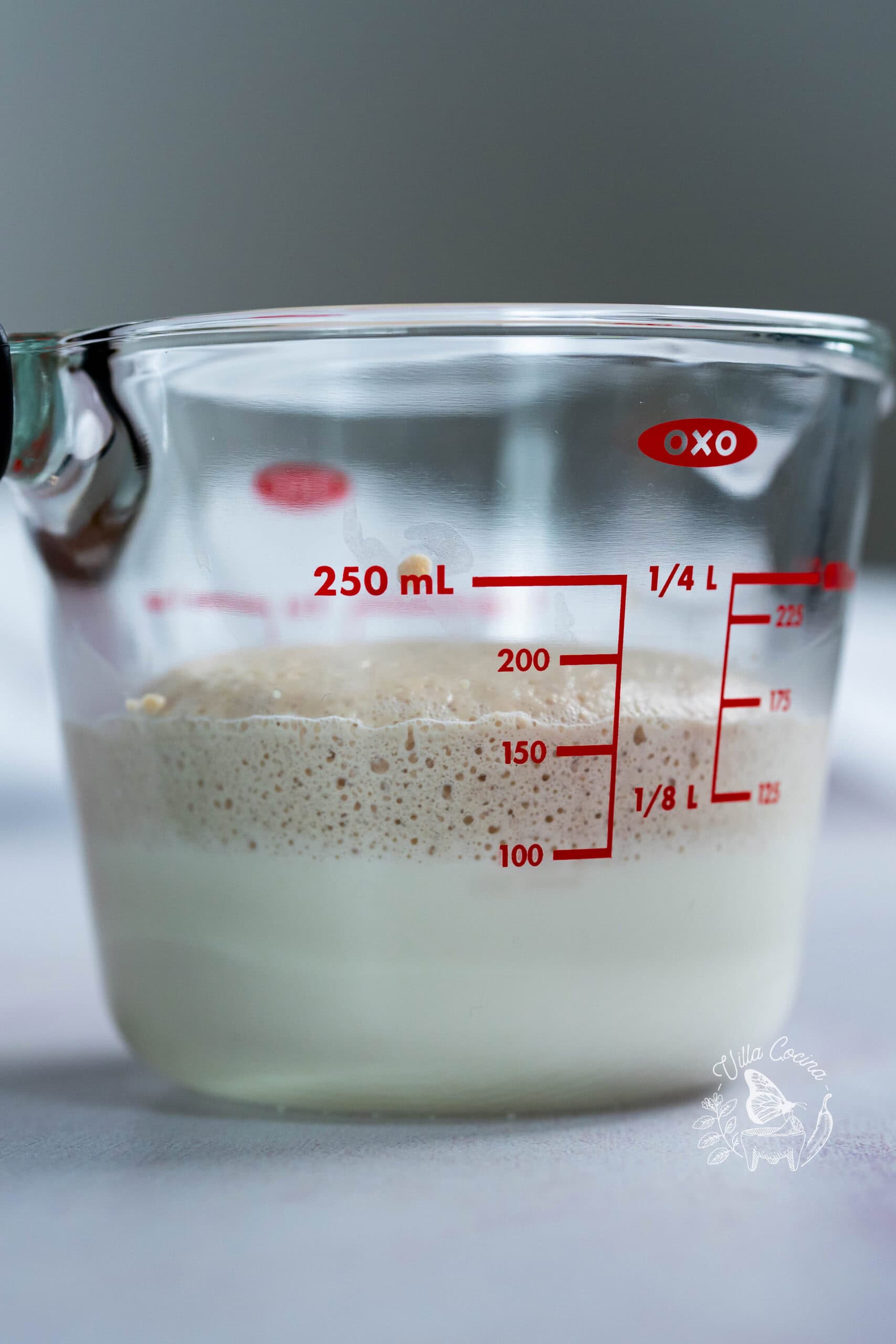 Activated yeast in a measuring cup.