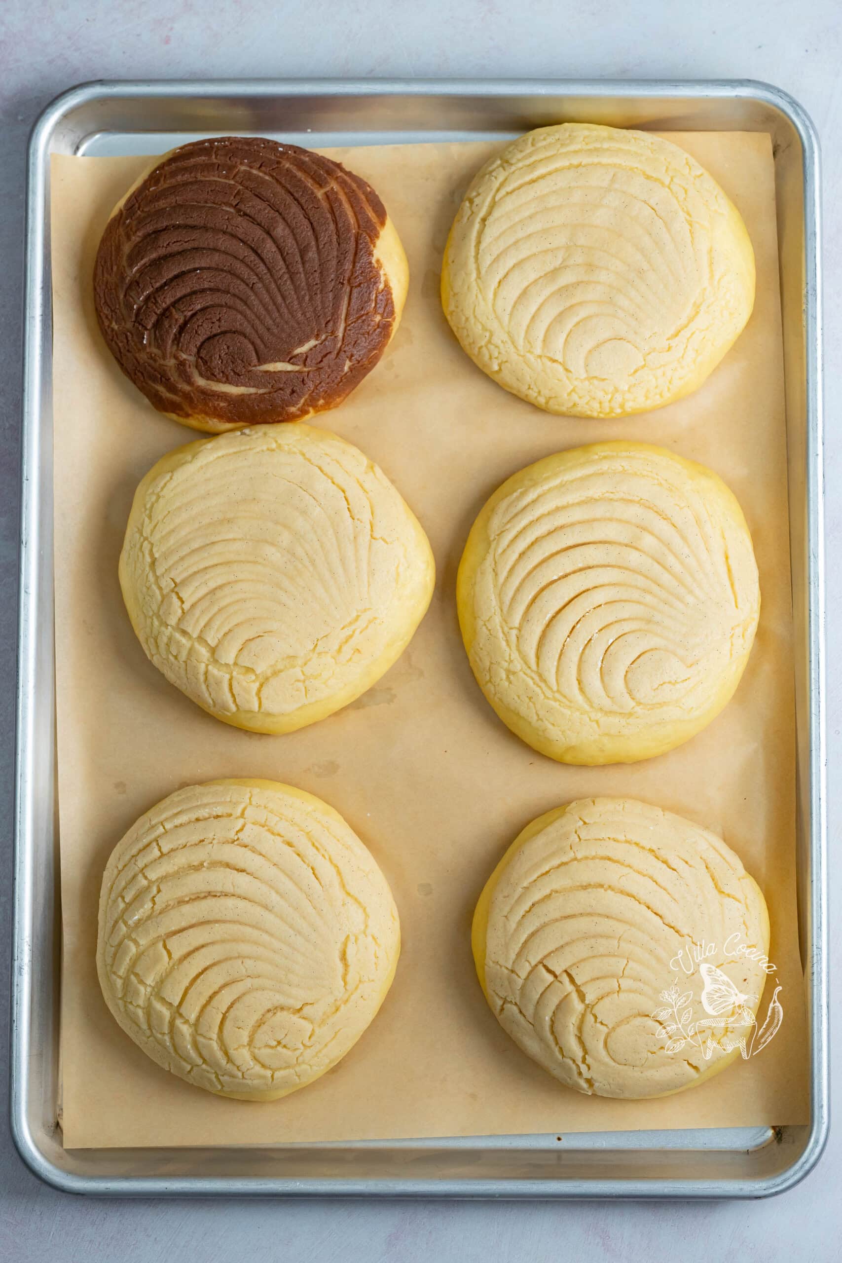 Puffy conchas with scored sugar toppings after the final rise.
