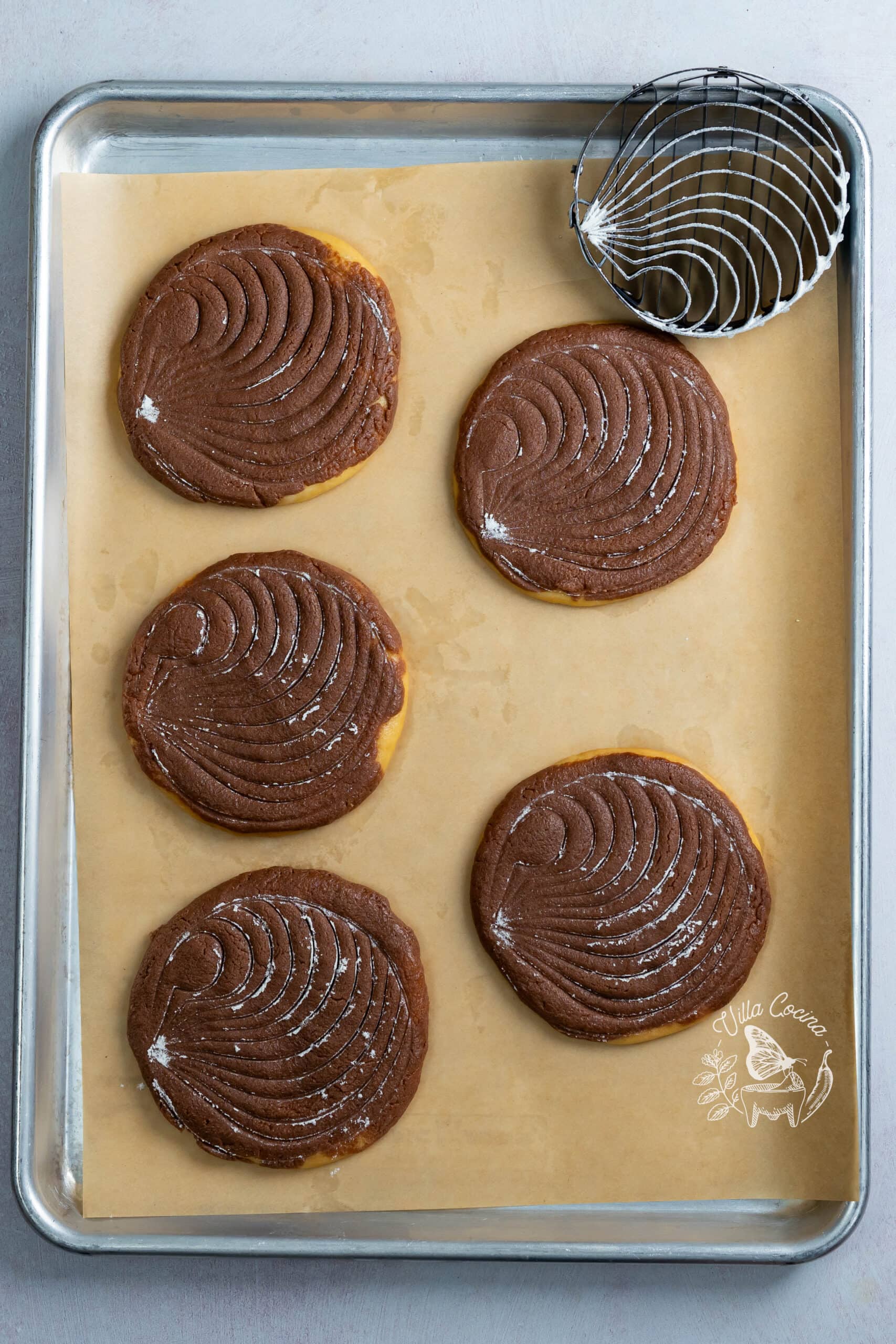 Unbaked chocolate conchas with seashell patterns beside a floured stamp.
