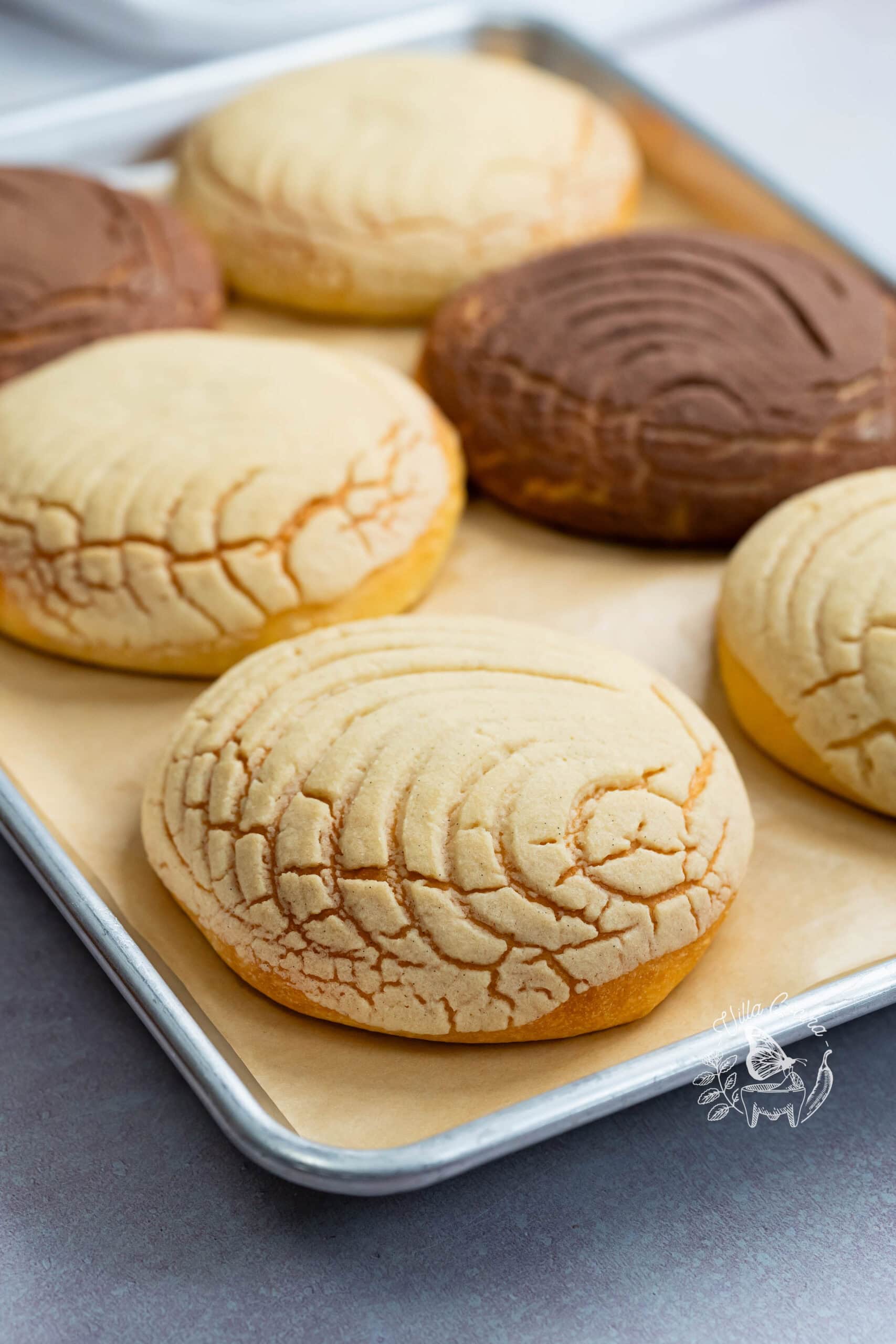 Close view of homemade Mexican conchas with vanilla and chocolate sugar toppings, showing seashell patterns and golden bread on a baking sheet.