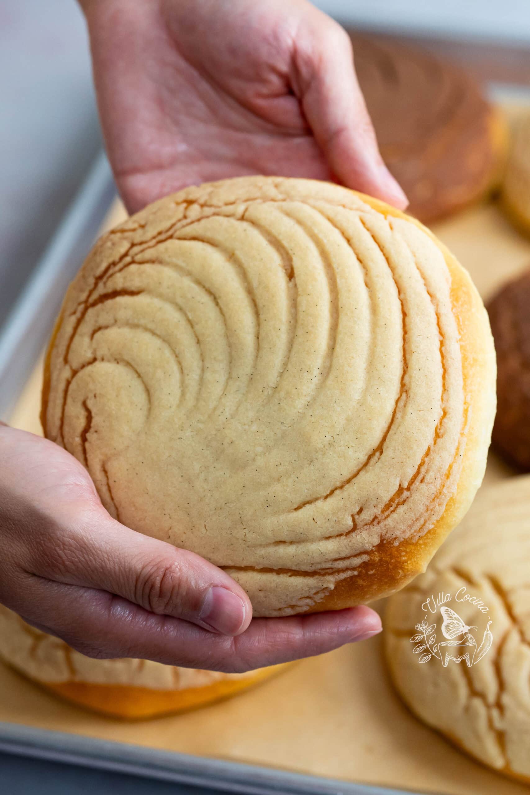Hands holding a homemade Mexican concha with a vanilla sugar topping scored in a seashell pattern.