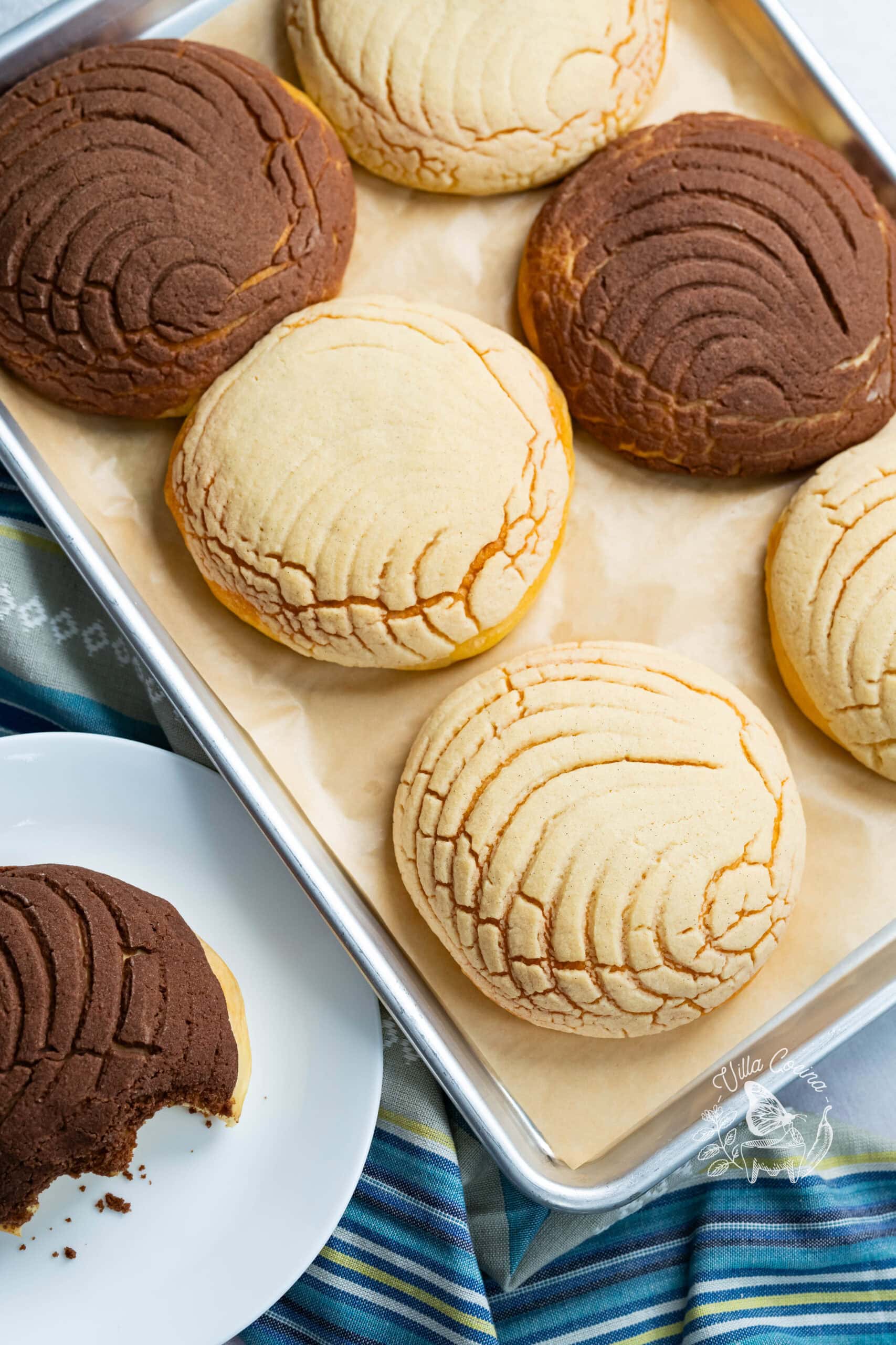 Homemade Mexican conchas with vanilla and chocolate seashell toppings on a parchment lined baking sheet.