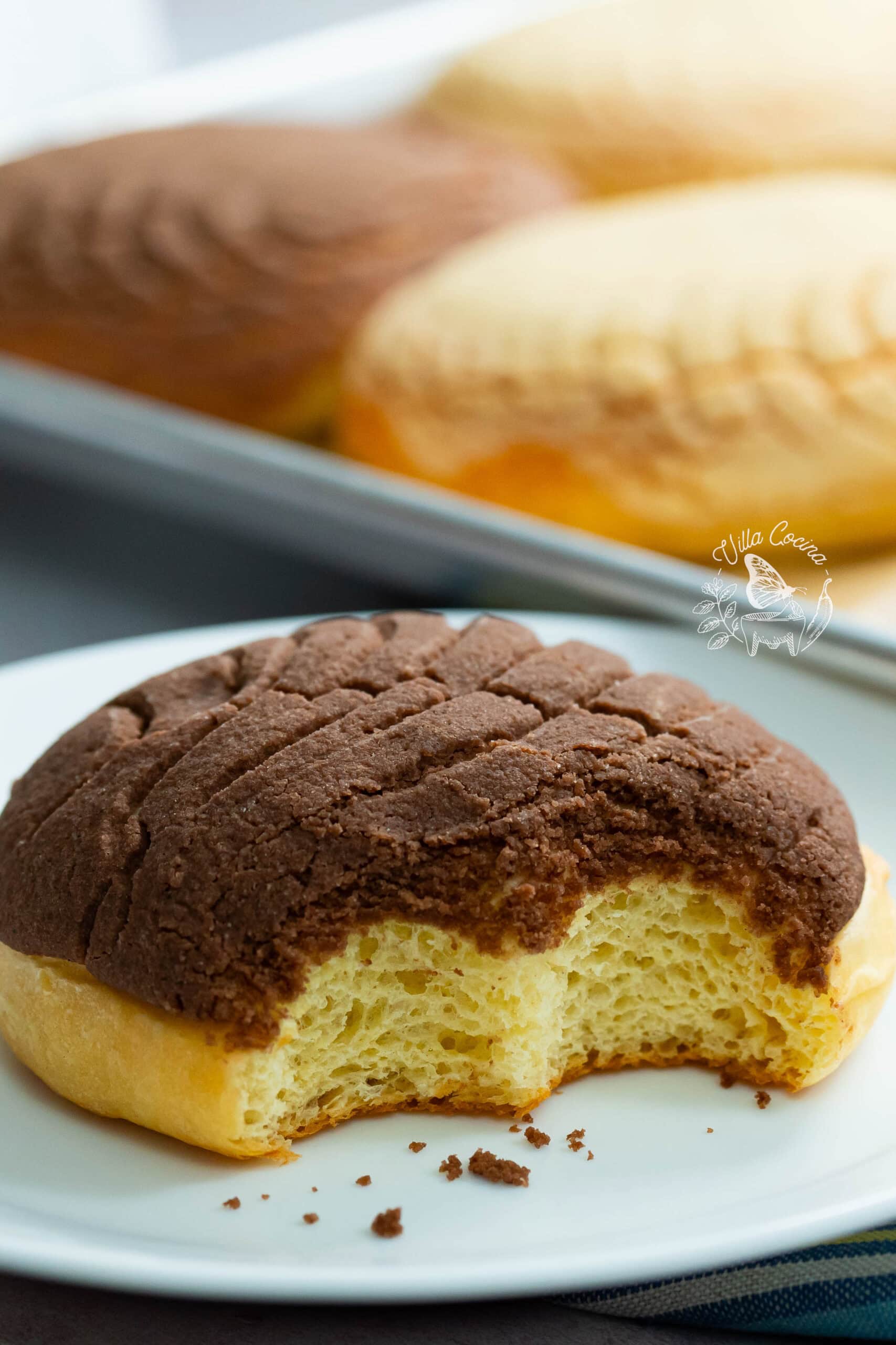 Chocolate concha with a bite missing, revealing its soft, airy crumb on a white plate.